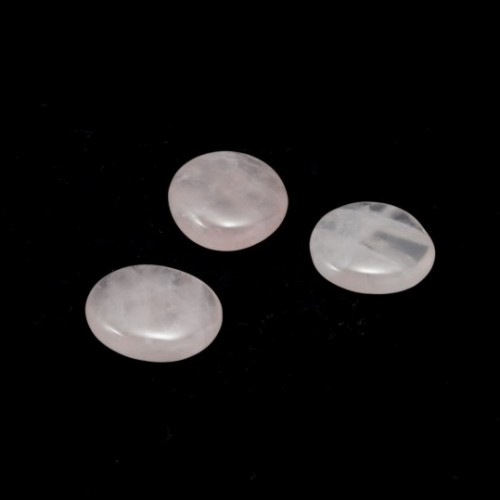 T006
