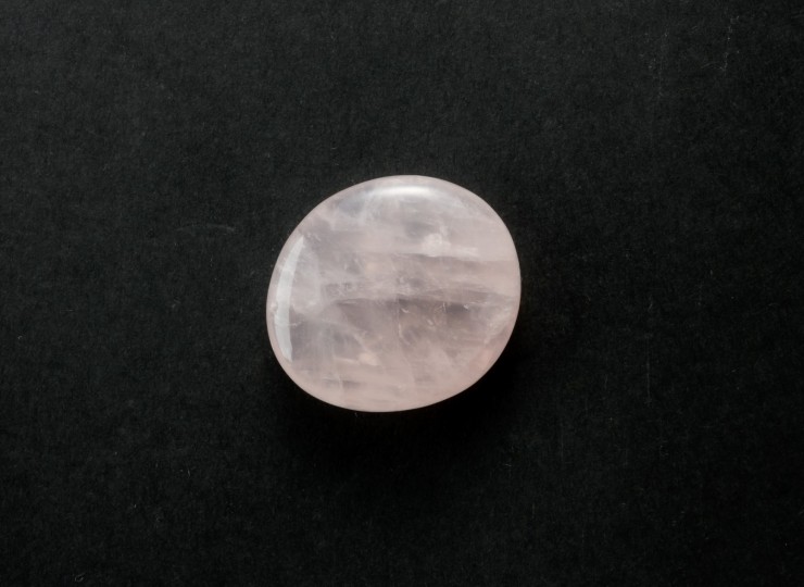 T006