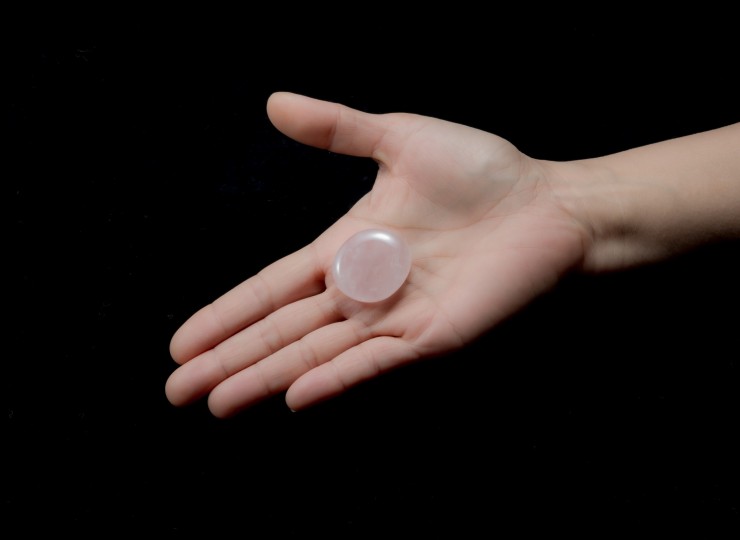 T006